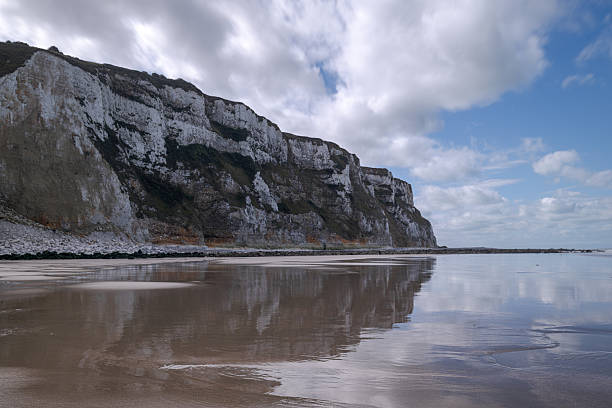 A wide coastal landscape shows eroded cliffs rising above the shoreline in Normandy, France, captured at low tide with intricate sand patterns in the foreground. Soft daylight and scattered clouds create a natural, serene atmosphere. The scene highlights the rugged geology and calm coastal environment.