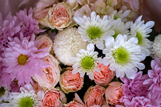 istock Background of different beautiful colors 2244994052