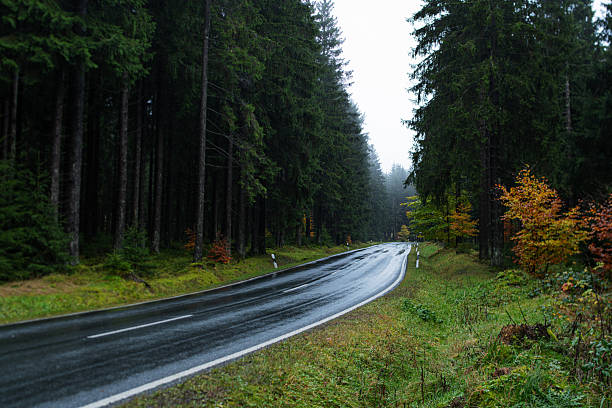 Empty Wet road through the Thuringian Forest in autumn