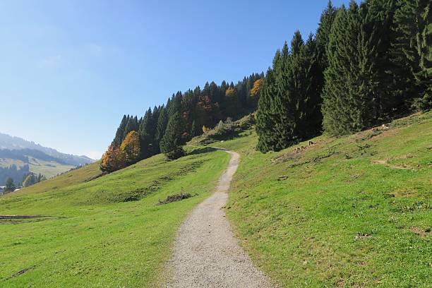 A rear-view, wide shot of a multi-racial, mid-adult man walking up a footpath towards a snow capped mountainous landscape in Garmisch, Germany.