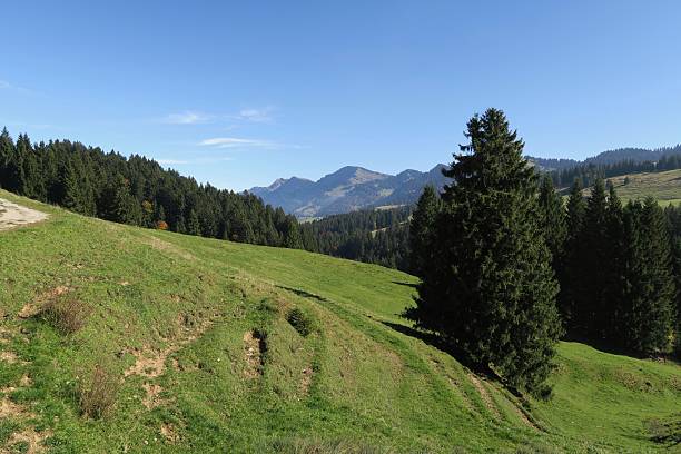 istock Footprints on the meadow on the Imberg 2245003604