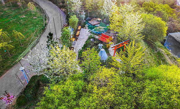 Small Japanese garden inside Botanical garden with cherry blossoms in Tbilisi , April