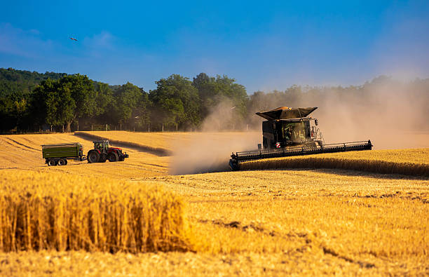 istock Harvester machine harvest cereal wheat 2245005894