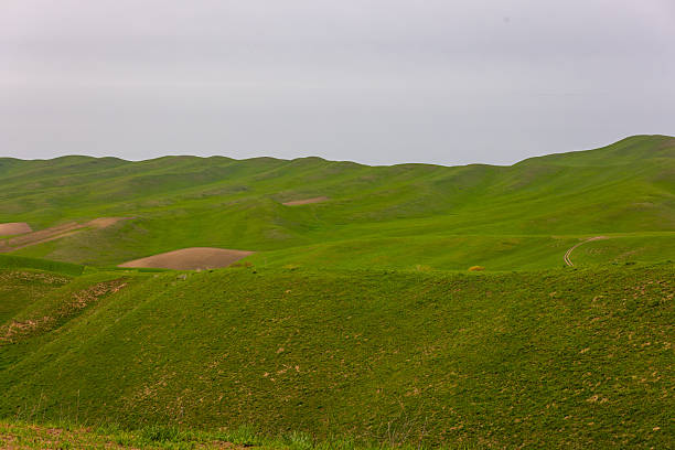 istock Serene rolling hills and grassy fields in rural landscape 2245005991