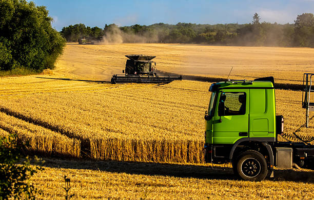 Harvester machine harvest cereal wheat