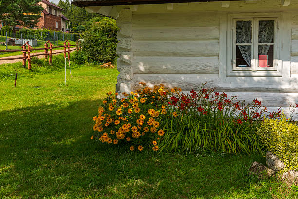 Rabsztyn, Poland – August 3, 2025: Vibrant orange and red flowers bloom beside the whitewashed wall of an old log house. The colorful garden reflects the charm of rural Poland, where nature and tradition blend in peaceful summer harmony.