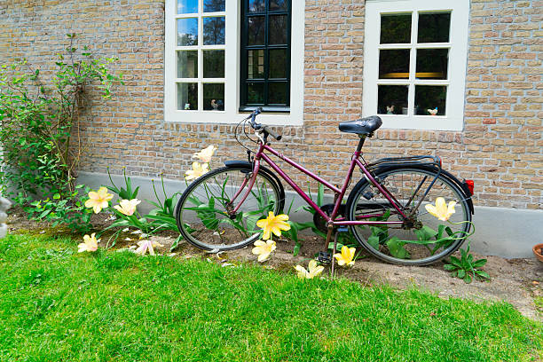 traditional bicycles standing next to canal in Amsterdam, Netherlands