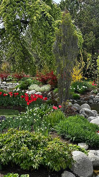 istock Beautiful Lush Foliage Tranquil Scenic Public Park 2245012897