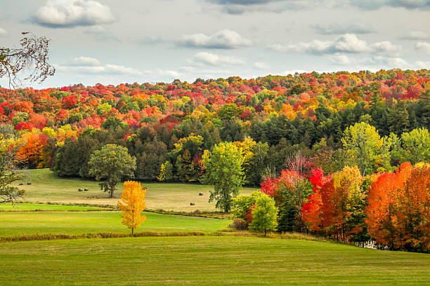 istock Vibrant Autumn Forest and Fields, Eastern Townships, Quebec, Canada 2245013120