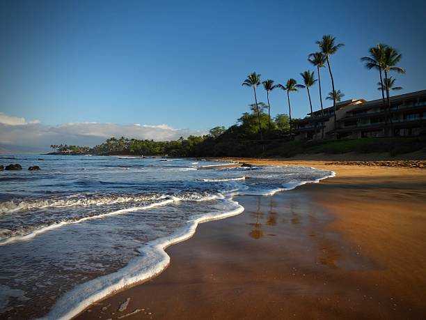 photographing the tropical island of maui, hawai'i - october 2025