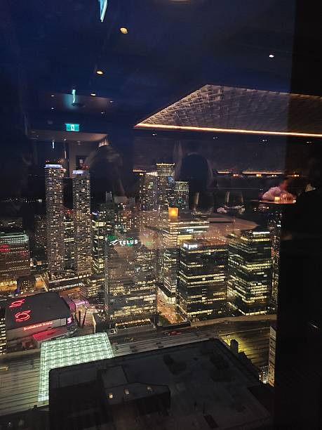istock Toronto Skyline Night View from Above 2245023156