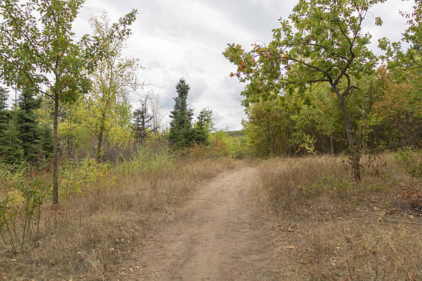 istock Dirt hiking trail through dry autumn forest under cloudy sky 2245028263