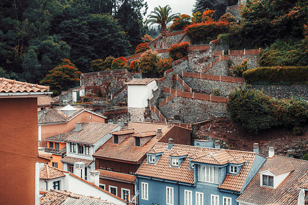 istock Cudillero hillside village view 2245028317