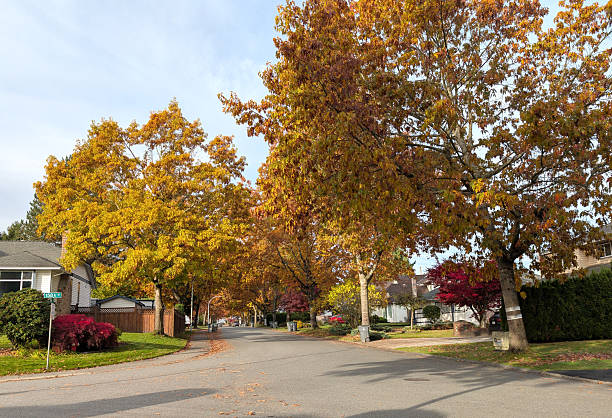 Surrey, Canada - October 30, 2025: Looking west on 95th Avenue at 158A Street in the Bel-Air subdivision of the Fleetwood-Tynehead neighbourhood. Detached houses were built in the 1980s. Tall oak trees show their fall foliage in late October. Cloudy bright skies above Metro Vancouver.
