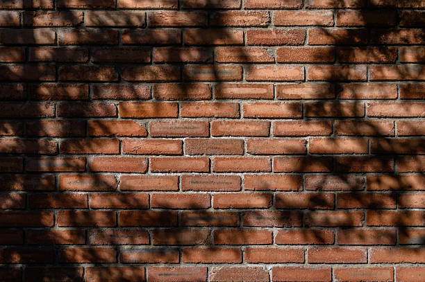 istock Shadow of Branches on Red Brick Wall 2245034594