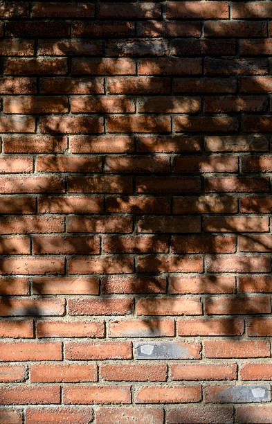 istock Shadow of Branches on Red Brick Wall as Background 2245034980