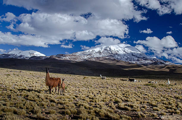 A vast desert landscape features scattered ruins, green vegetation, and distant mountains under a bright blue sky with fluffy white clouds.