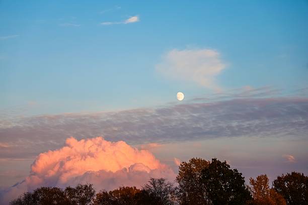 Moon shining in a pastel blue sky, with orange and pink clouds above dark tree tops during twilight or sunset
