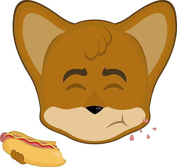 emoji character head fox animal eat meal hotdog vector illustration emoticon character face fox animal eating fast food from a hot dog biting lip stock illustrations