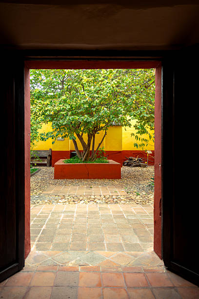 istock Courtyard view from doorway inside Casa de Hidalgo Museum with tree and colonial walls 2245044679