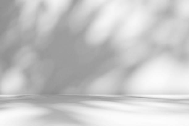 istock Abstract white studio room with light and shadow from window and tree leaves background for product display presentation 2245045638