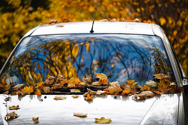 istock Autumn leaves scattered on parked white car 2245046311