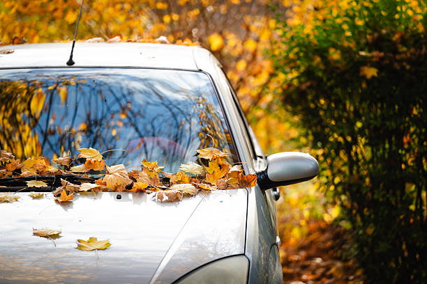 istock Autumn leaves scattered on parked white car 2245046321