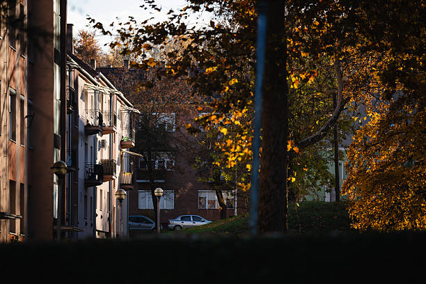 istock Autumn sunlight over residential street architecture 2245046353