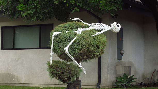 Funny Skeleton on a Bush Halloween Decorations