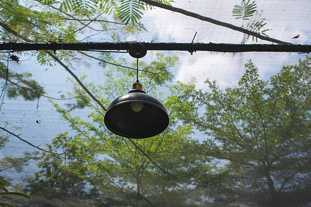 istock Hanging lights in the garden 2245052354