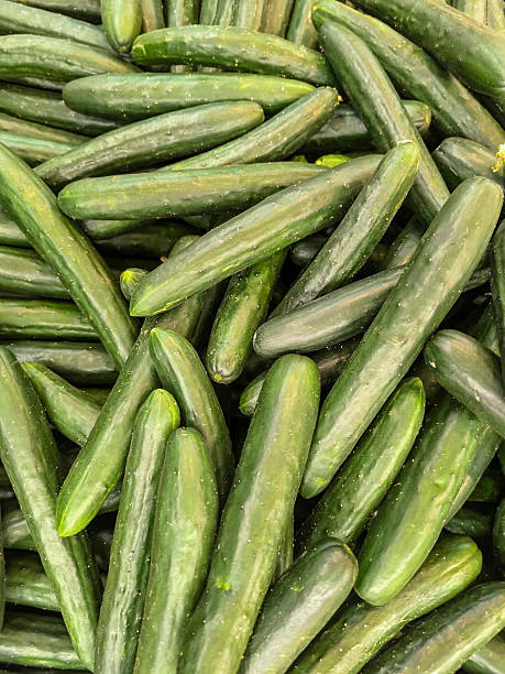 Japanese cucumber