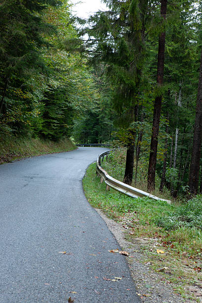 istock twisty alpine road trough forest 2245062371