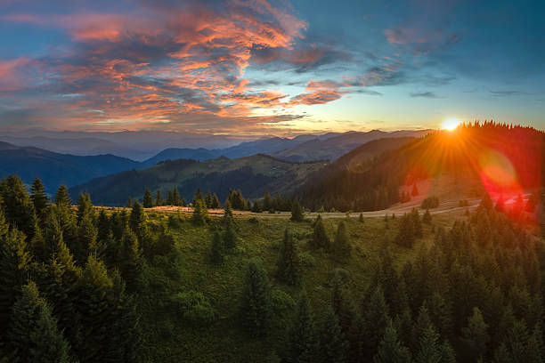 istock Amazing sunset scenery in wild mountain forest. Dark pine woods illuminated with bright setting sun. Beautiful nature landscape 2245063702