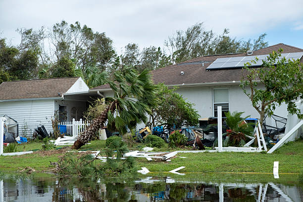 istock Hurricane damage to palm tree on Florida house backyard. Fallen down tree after tropical storm winds. Consequences of natural disaster 2245063742