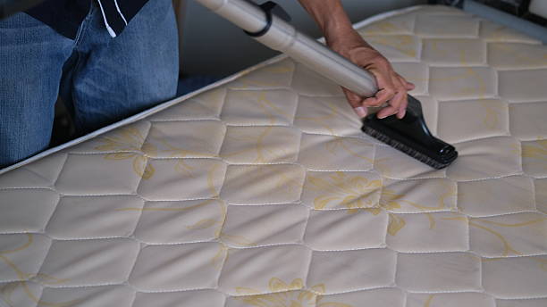 istock Hydroclean mattress dust mite cleaning service at home. 2245065873