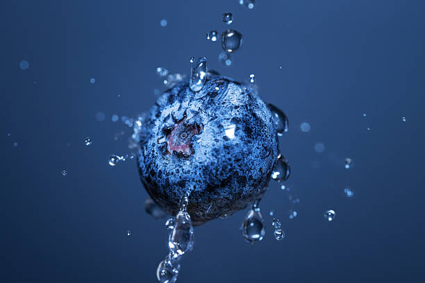 Blueberry macro background. Fresh harvest berry with dew drops closeup. High quality photo