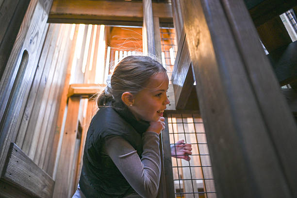istock Young girl playing inside wooden playground structure 2245066818