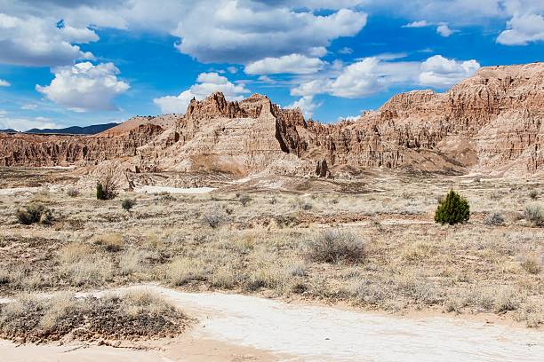 istock Spring View along the Juniper Draw Loop Trail, Cathedral Gorge State Park in Nevada. 2245067506