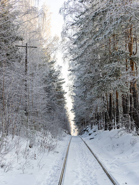 Old railway in winter forest. Frozen in winter railway line between forests. Railway in snow. Winter landscape with empty rail tracks