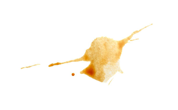 istock Dried coffee stain isolated on white, top view 2245069506