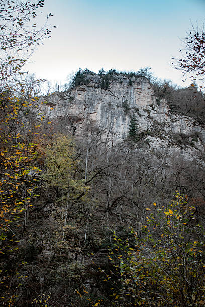istock A beautiful magical forest in autumn 2245071417