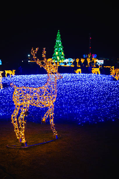 istock Golden reindeer figure illuminated with lights stands before blue light wall and festive green tree 2245075322