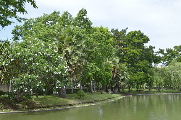 istock public park and pond with trees and flowers 2245078544