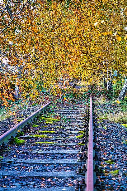 Old, disused railway track, romantic, autumn