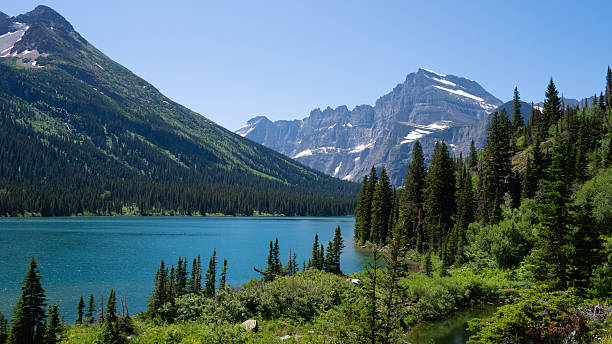 istock Glacier National Park Lake Surrounded by Alpine Forest and Mountains 2245085872