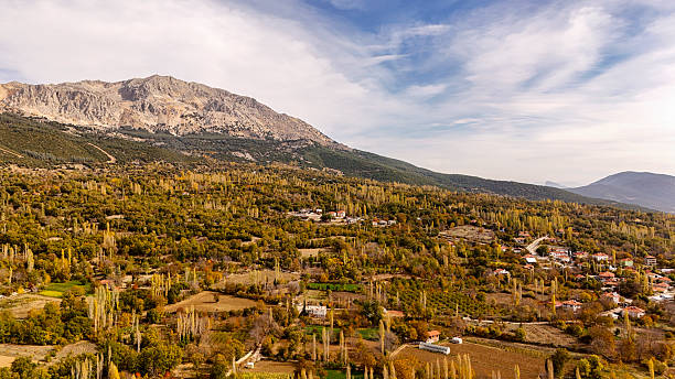 istock Aerial view of mountain forest landscape 2245087809