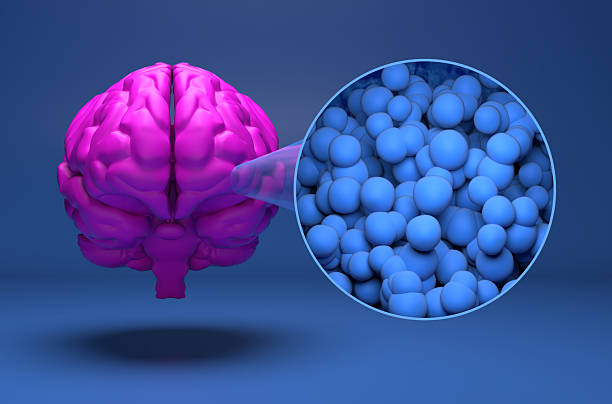 istock Glioblastoma multiforme - isometric view 3d illustration 2245090760