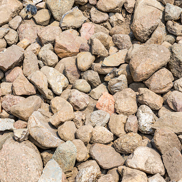 Collection of stones from a field before new cultivation or sowing.