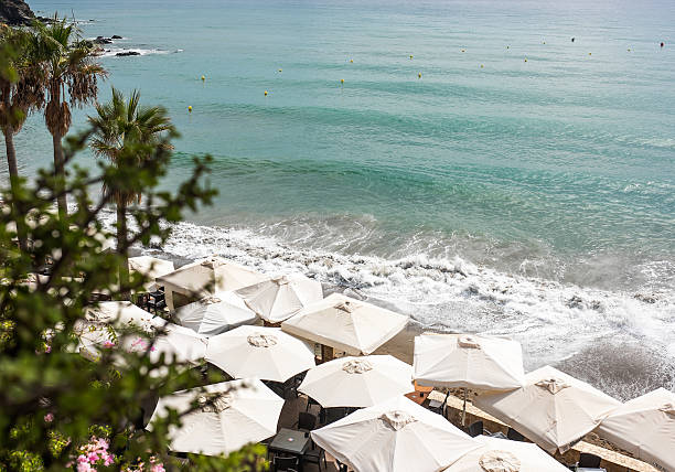 istock Beach scene featuring white umbrellas lined along the shore, with gentle waves lapping at the sand and palm trees framing the tranquil coastal view 2245097672
