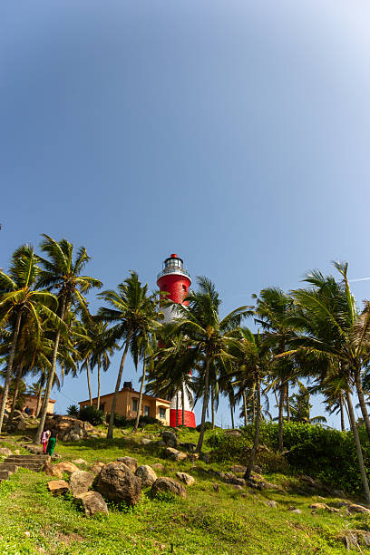 istock Red and White Striped Lighthouse Peeking Above Tropical Coconut Palm Trees 2245098835